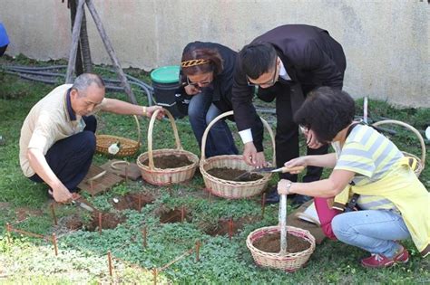 樹葬 影響後代|樹葬是什麼？樹葬費用、樹葬流程、樹葬如何祭拜，統。